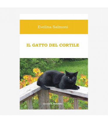 IL GATTO DEL CORTILE