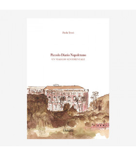 PICCOLO DIARIO NAPOLETANO. UN VIAGGIO SENTIMENTALE